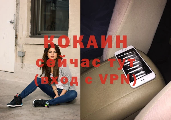бошки Вяземский