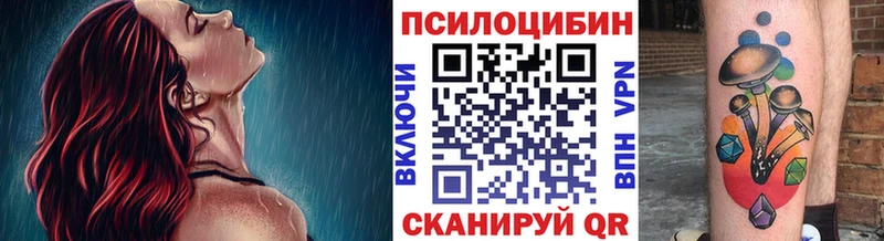 Псилоцибиновые грибы Psilocybine cubensis  Купить закладки  Нерюнгри 